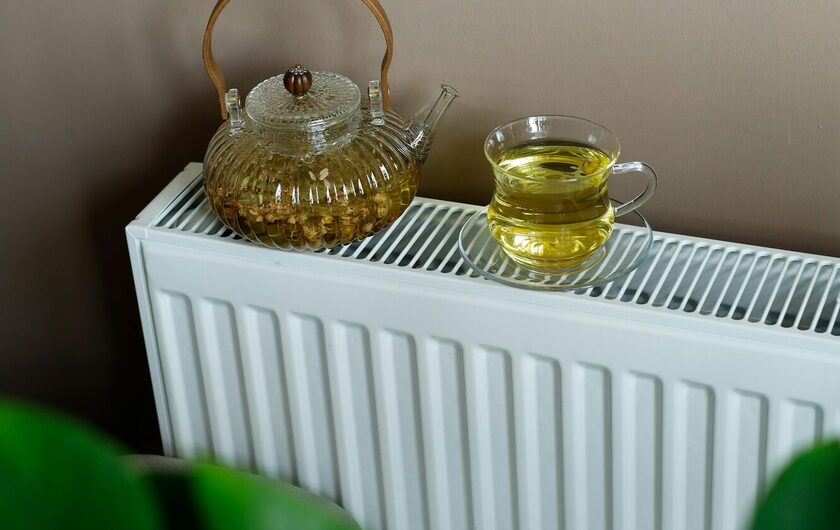 pexels-esrakorkmaz-29548648